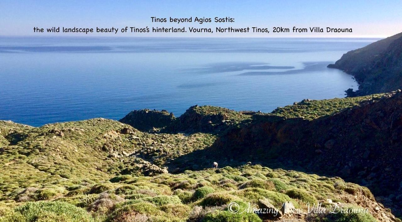 Amazing View Villa Draoúna, Agios Sostis, Tinos Agios Sostis  Esterno foto